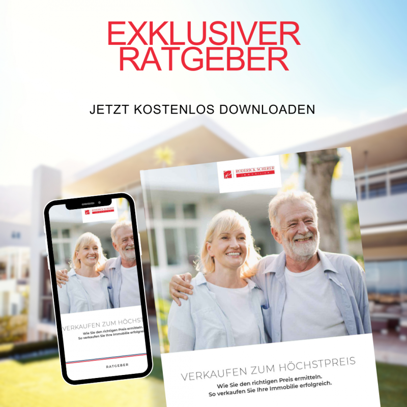 Ratgeber richtigen Preis ermitteln